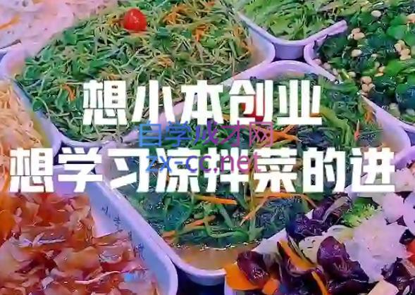 李记·精品凉拌菜系列热卤系列教程-小哈资源