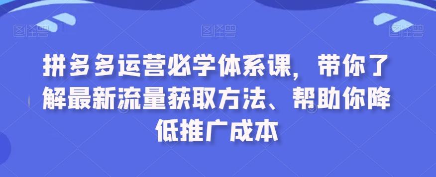 拼多多运营必学体系课，带你了解最新流量获取方法、帮助你降低推广成本-小哈资源