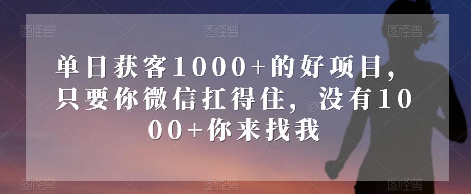 单日获客1000+的好项目，只要你微信扛得住，没有1000+你来找我【揭秘】-小哈资源