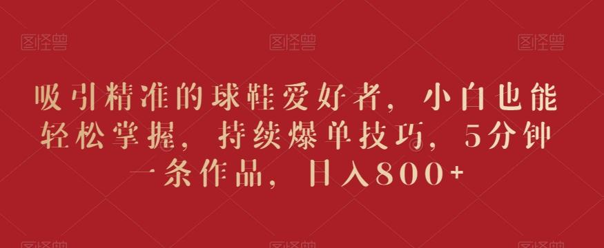 吸引精准的球鞋爱好者，小白也能轻松掌握，持续爆单技巧，5分钟一条作品，日入800+【揭秘】-小哈资源