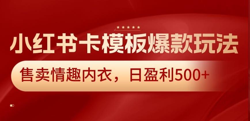 小红书卡模板爆款玩法，售卖情趣内衣，日盈利500+【揭秘】-小哈资源