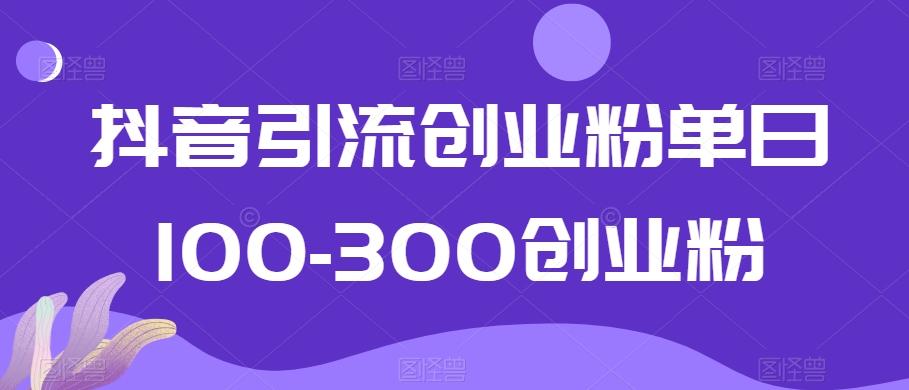 抖音引流创业粉单日100-300创业粉【揭秘】-小哈资源