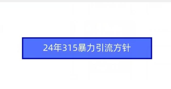 24年315暴力引流方针-小哈资源