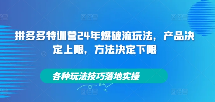 拼多多特训营24年爆破流玩法，产品决定上限，方法决定下限，各种玩法技巧落地实操-小哈资源