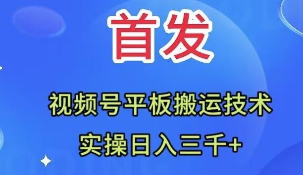 全网首发：视频号平板搬运技术，实操日入三千＋-小哈资源