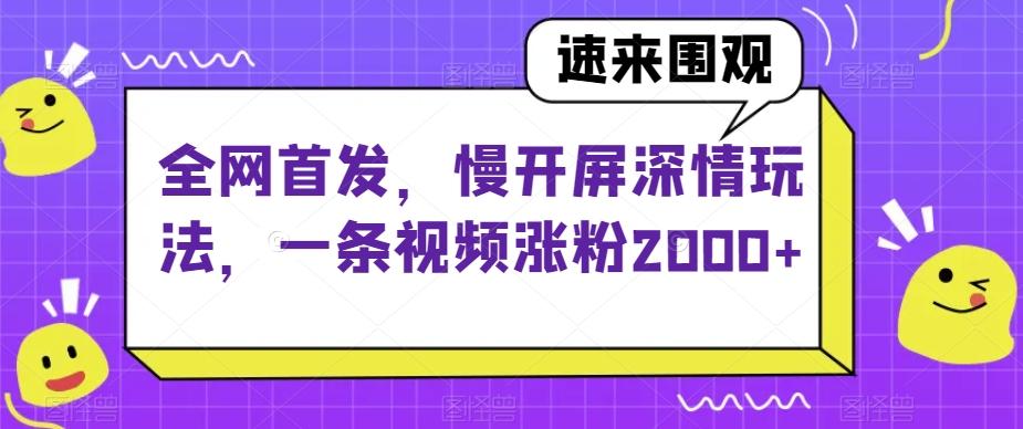 全网首发，慢开屏深情玩法，一条视频涨粉2000+【揭秘】-小哈资源