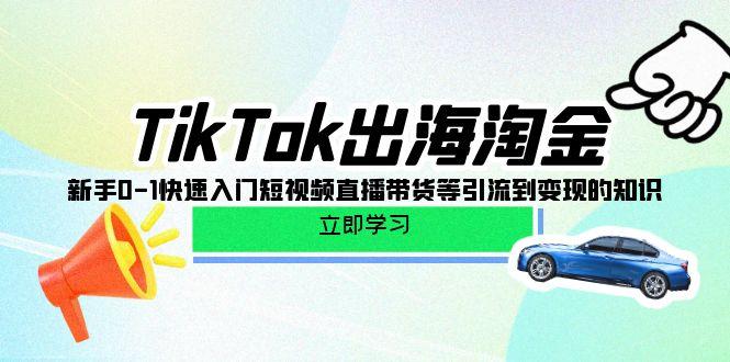 (10035期)TikTok-出海淘金，新手0-1快速入门短视频直播带货等引流到变现的知识-小哈资源