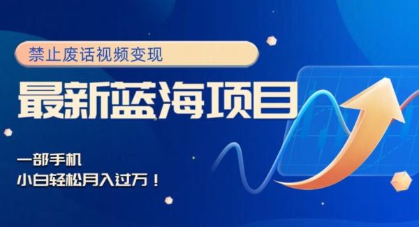 最新蓝海项目，靠禁止废话视频变现，一部手机，小白轻松月入过万！-小哈资源