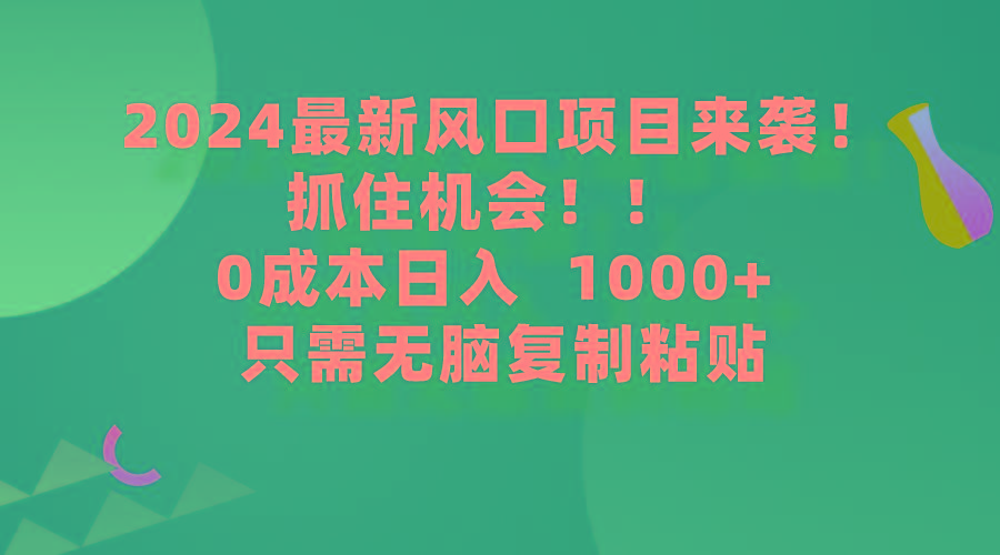 (9899期)2024最新风口项目来袭，抓住机会，0成本一部手机日入1000+，只需无脑复…-小哈资源