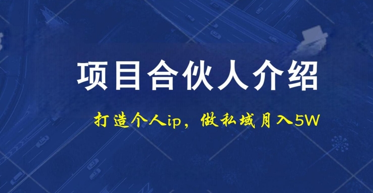 项目合伙人项目，打造个人IP，做私域月入5W，小白勿扰-小哈资源