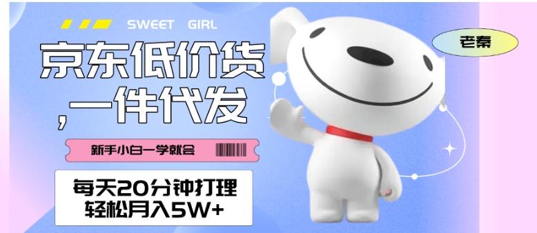 每天20分钟打理京东低价货，一件代发-轻松月入5W＋-小哈资源