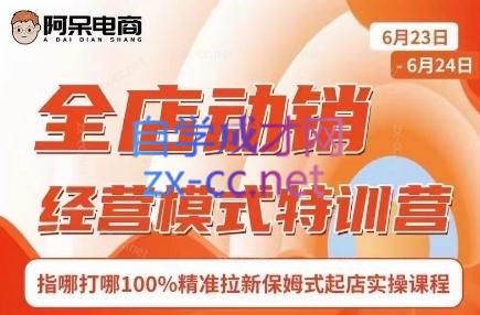 阿呆电商·全店动销经营模式特训营(线下录音+思维导图)-小哈资源