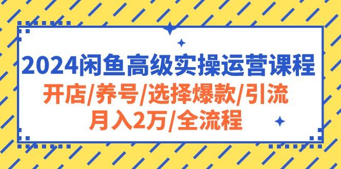 2024闲鱼高级实操运营课程：开店/养号/选择爆款/引流/月入2万/全流程-小哈资源
