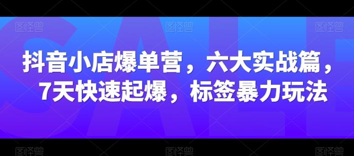 抖音小店爆单营，六大实战篇，7天快速起爆，标签暴力玩法-小哈资源