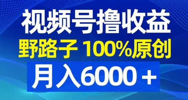 视频号野路子撸收益，100%原创，条条爆款，月入6000＋【揭秘】-小哈资源