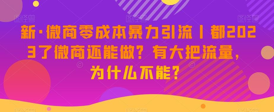 新·微商零成本暴力引流丨都2023了微商还能做？有大把流量，为什么不能？-小哈资源