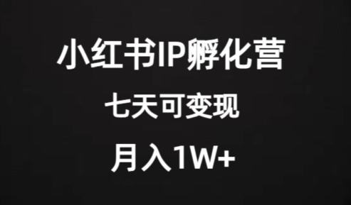 价值2000+的小红书IP孵化营项目，超级大蓝海，七天即可开始变现，稳定月入1W+-小哈资源