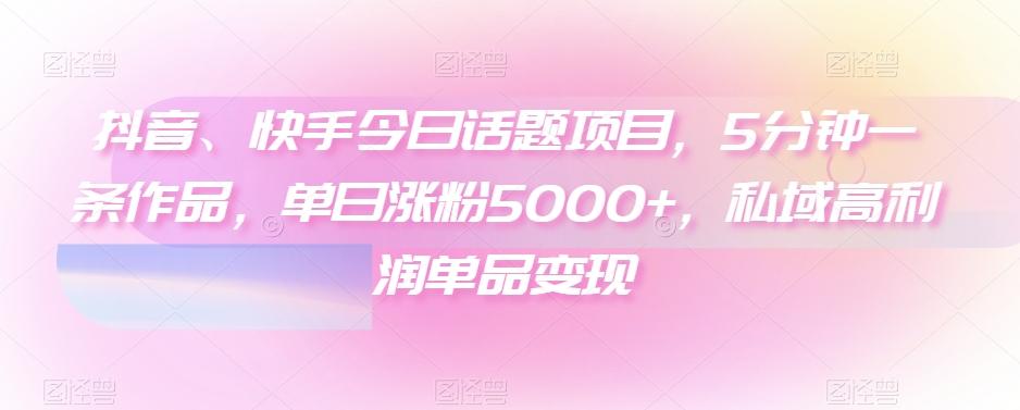 抖音、快手今日话题项目，5分钟一条作品，单日涨粉5000+，私域高利润单品变现-小哈资源