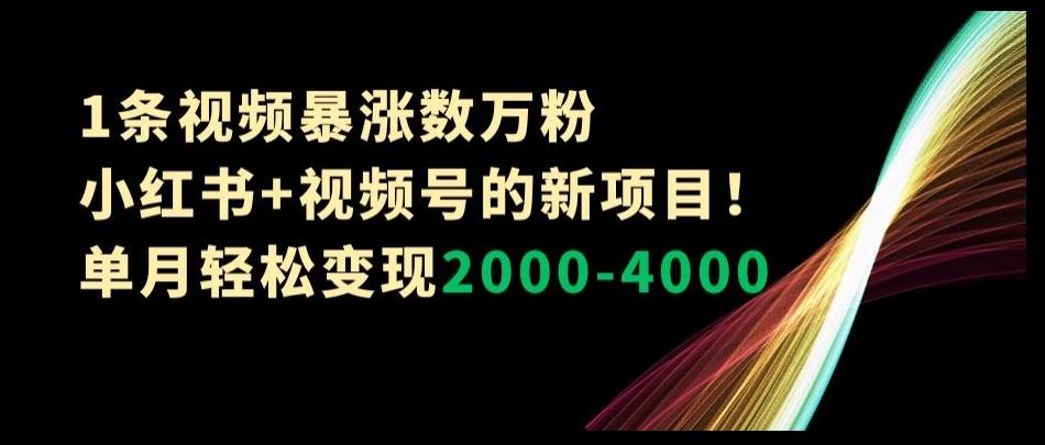 1条视频暴涨数万粉–小红书+视频号的新项目！单月轻松变现2000-4000【揭秘】-小哈资源