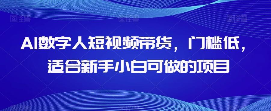 AI数字人短视频带货，门槛低，适合新手小白可做的项目-小哈资源