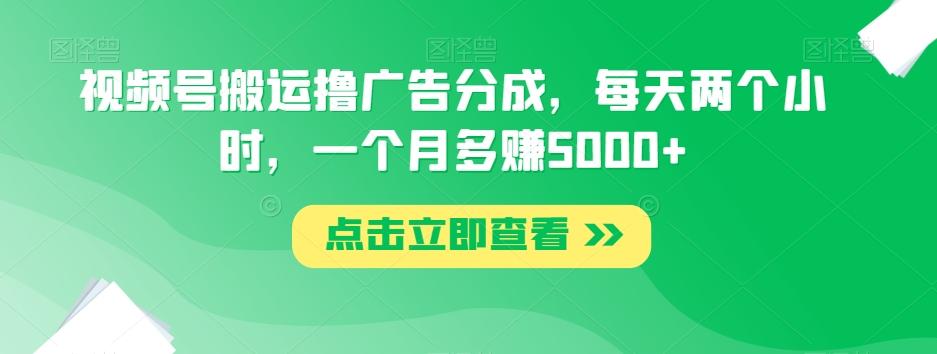 视频号搬运撸广告分成，每天两个小时，一个月多赚5000+-小哈资源