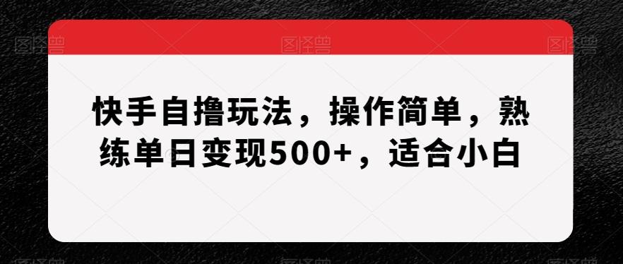 快手自撸玩法，操作简单，熟练单日变现500+，适合小白【揭秘】-小哈资源