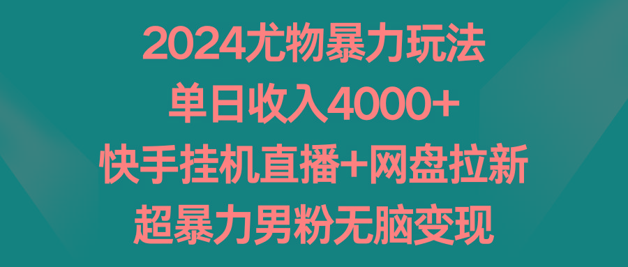 2024尤物暴力玩法 单日收入4000+快手挂机直播+网盘拉新 超暴力男粉无脑变现-小哈资源