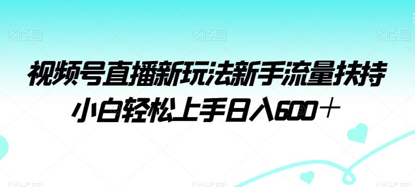 视频号直播新玩法新手流量扶持小白轻松上手日入600＋【揭秘】-小哈资源