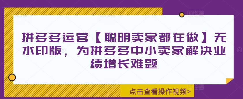 拼多多运营【聪明卖家都在做】无水印版，为拼多多中小卖家解决业绩增长难题-小哈资源