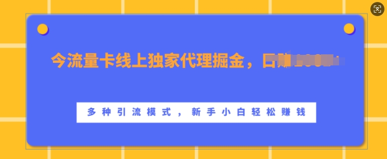 流量卡线上独家代理掘金，日入1k+ ，多种引流模式，新手小白轻松上手【揭秘】-小哈资源