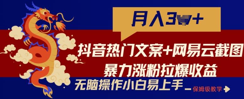 抖音热门文案+网易云截图暴力涨粉拉爆收益玩法，小白无脑操作，简单易上手【揭秘】-小哈资源