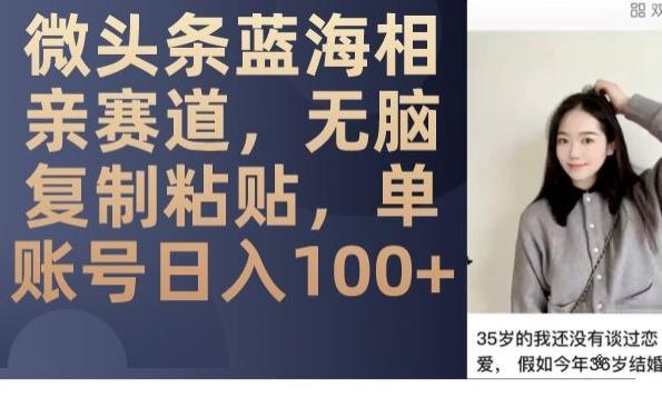 微头条蓝海相亲赛道，无脑复制粘贴，单账号日入100+-小哈资源