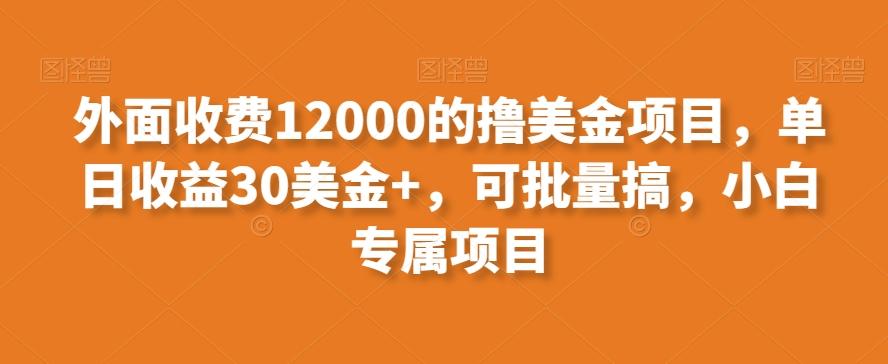 外面收费12000的撸美金项目，单日收益30美金+，可批量搞，小白专属项目-小哈资源