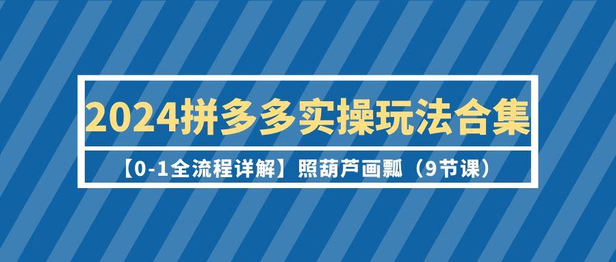 (9559期)2024拼多多实操玩法合集【0-1全流程详解】照葫芦画瓢(9节课)-小哈资源