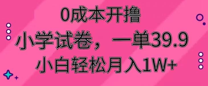 0成本开撸，小学试卷，一单39.9，小白轻松月入1W+-小哈资源