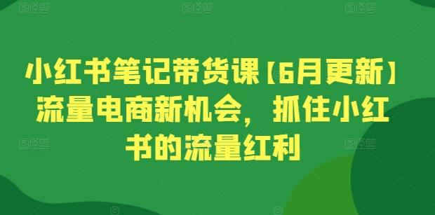 小红书笔记带货课【6月更新】流量电商新机会，抓住小红书的流量红利-小哈资源