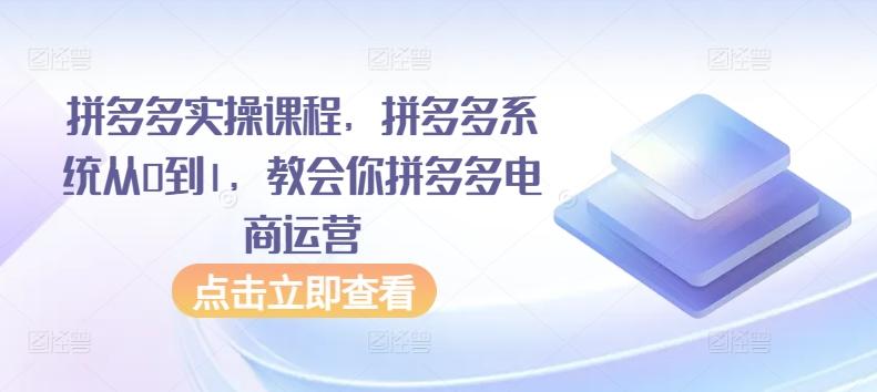 拼多多实操课程，拼多多系统从0到1，教会你拼多多电商运营-小哈资源
