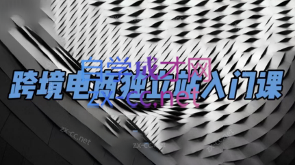 团长·跨境电商独立站入门课(2小时精华)-小哈资源