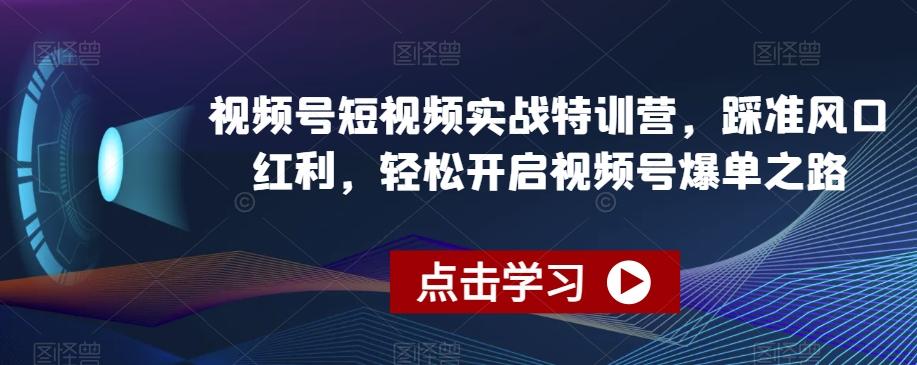 视频号短视频实战特训营，踩准风口红利，轻松开启视频号爆单之路-小哈资源