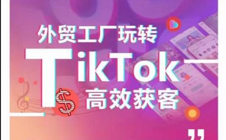 外贸工厂玩转TikTok高效获客，多种引流方式与账号定位技巧，拆解爆款短视频打造成功案例-小哈资源