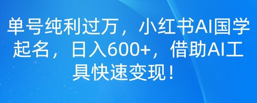 单号纯利过万，小红书AI国学起名，日入600+，借助AI工具快速变现-小哈资源