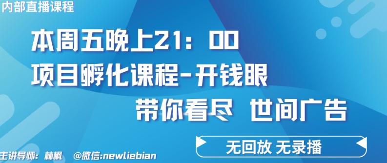 4.26日内部回放课程《项目孵化-开钱眼》赚钱的底层逻辑【揭秘】-小哈资源