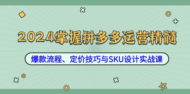2024掌握拼多多运营精髓：爆款流程、定价技巧与SKU设计实战课-小哈资源