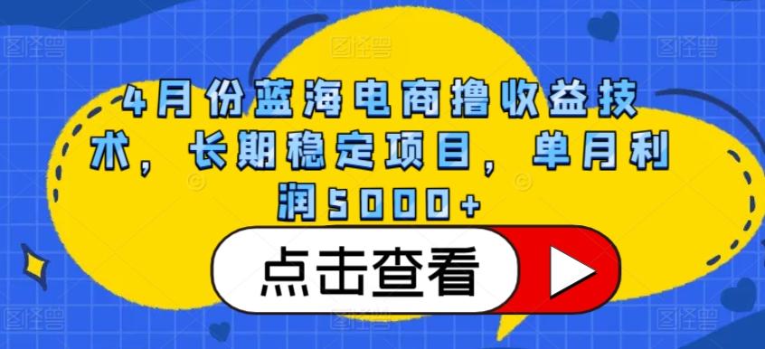4月份蓝海电商撸收益技术，长期稳定项目，单月利润5000+【揭秘】-小哈资源