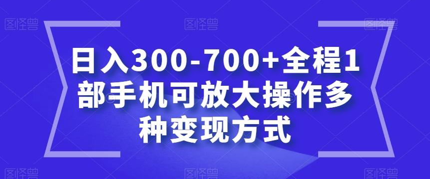 日入300-700+全程1部手机可放大操作多种变现方式【揭秘】-小哈资源
