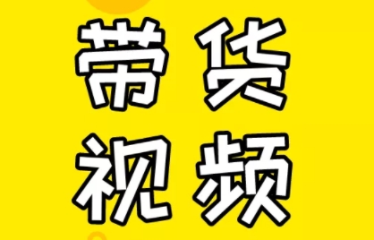 芒果老师·教你做抖音短视频和直播带货-小哈资源