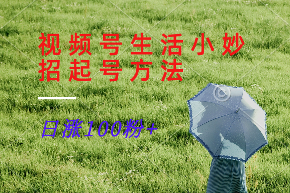 视频号生活小妙招分享赛道， 起号涨粉新方法，日涨100粉-小哈资源