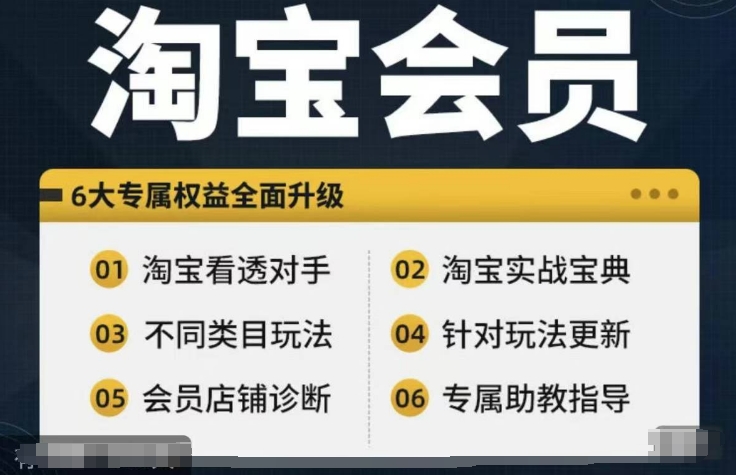 淘宝会员【淘宝所有课程，全面分析对手】，初级到高手全系实战宝典-小哈资源