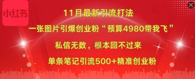小红书11月最新图片打粉，一张图片引爆创业粉，“预算4980带我飞”，单条引流500+精准创业粉-小哈资源