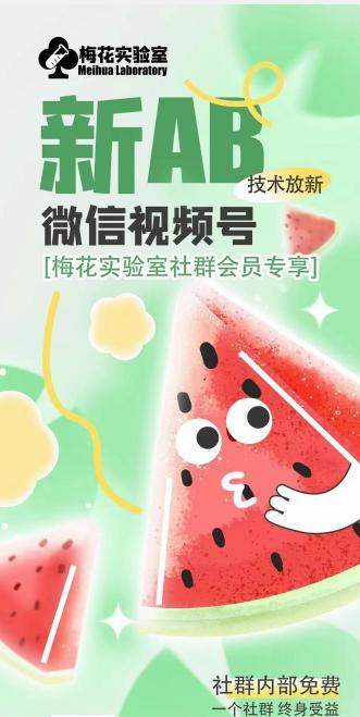 梅花实验室2024年AB技术视频号AB合成破解版-小哈资源